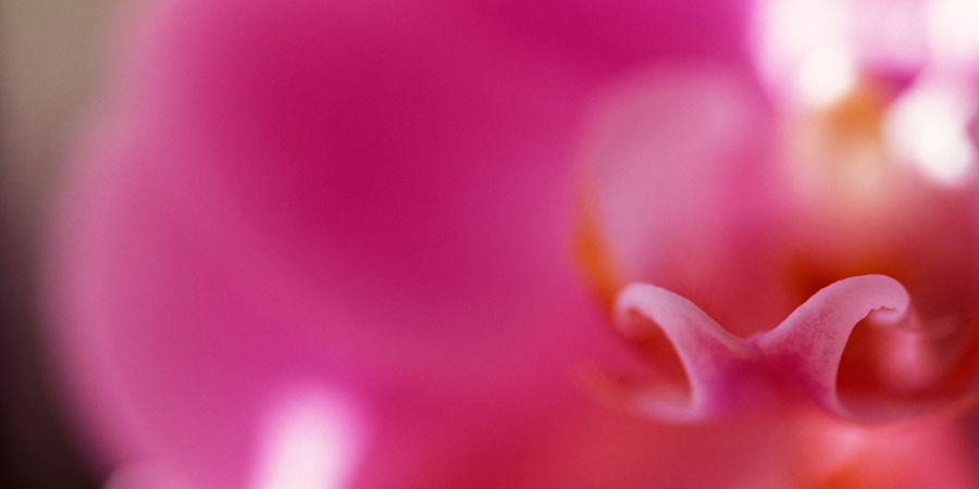 aprile